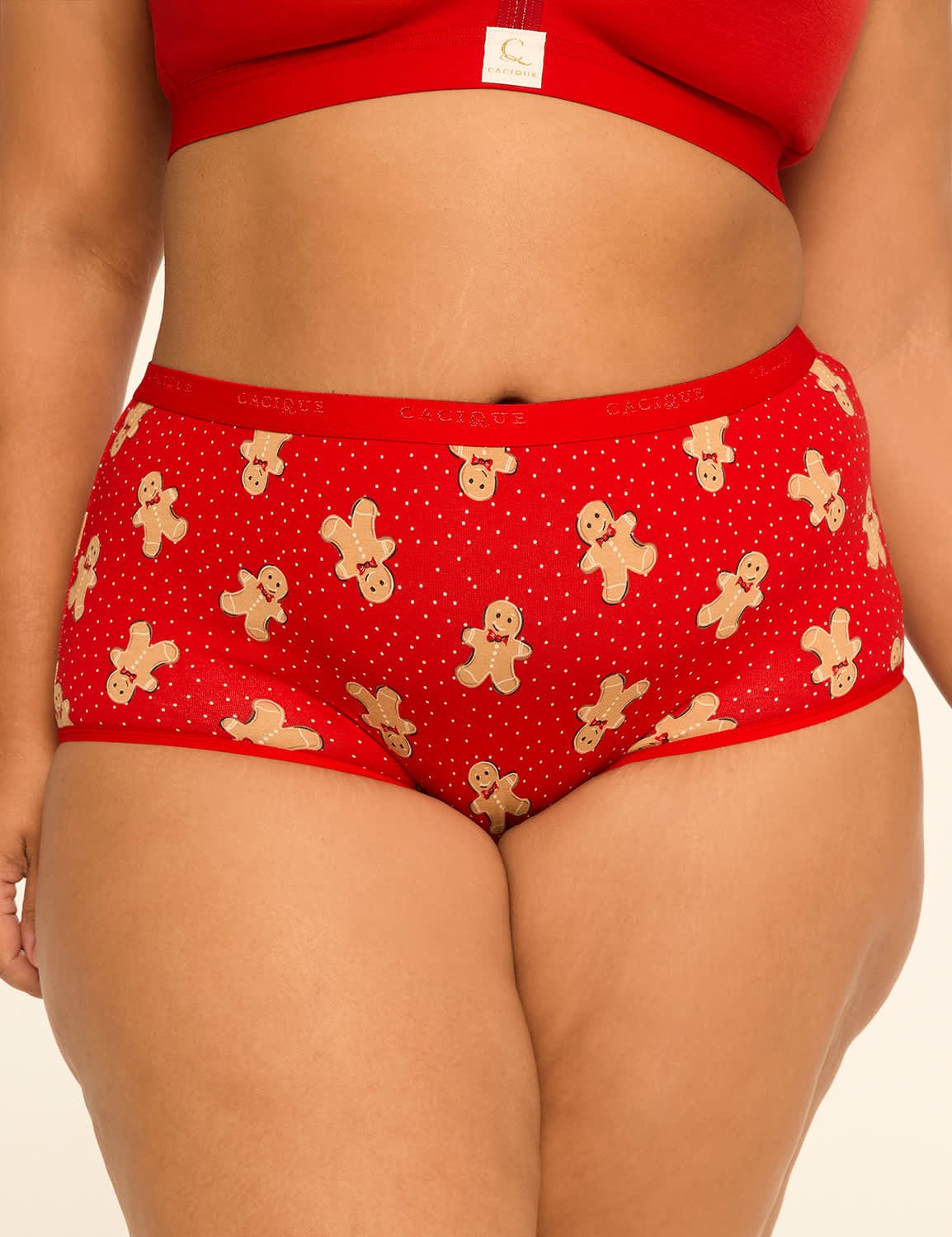 Cotton Full Brief Panty