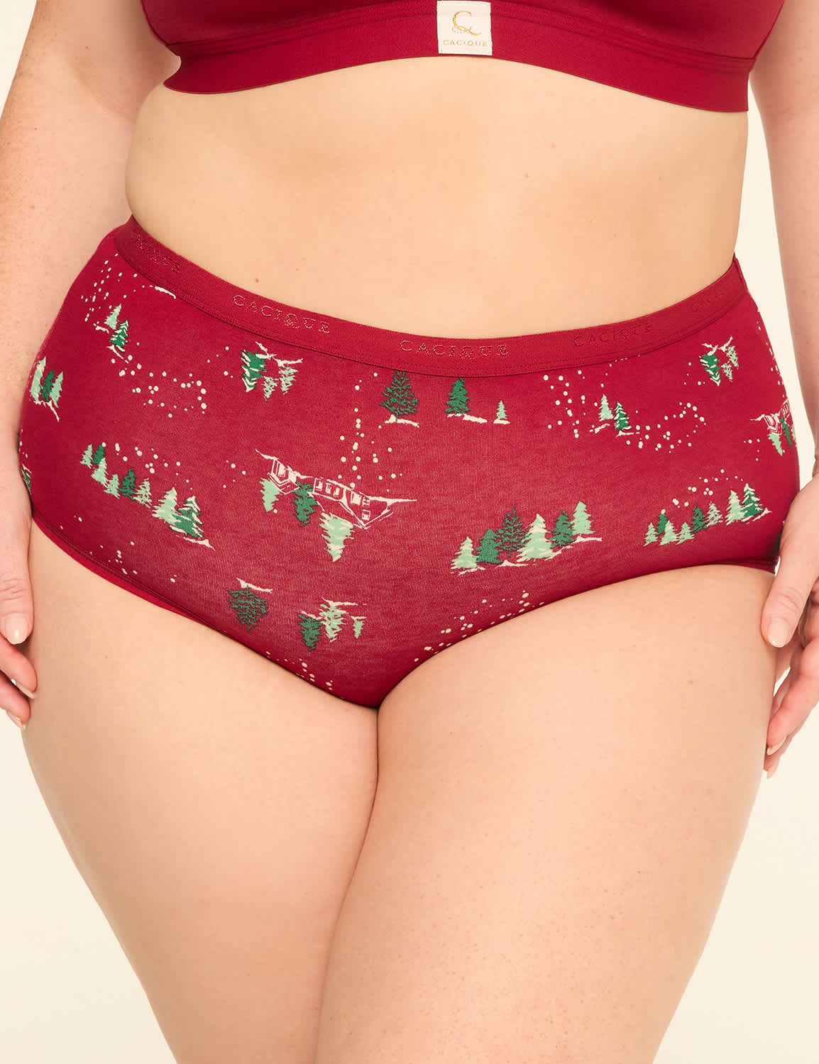 Cotton Full Brief Panty