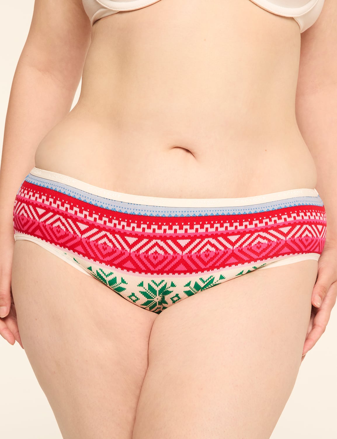 Cotton Hipster Panty
