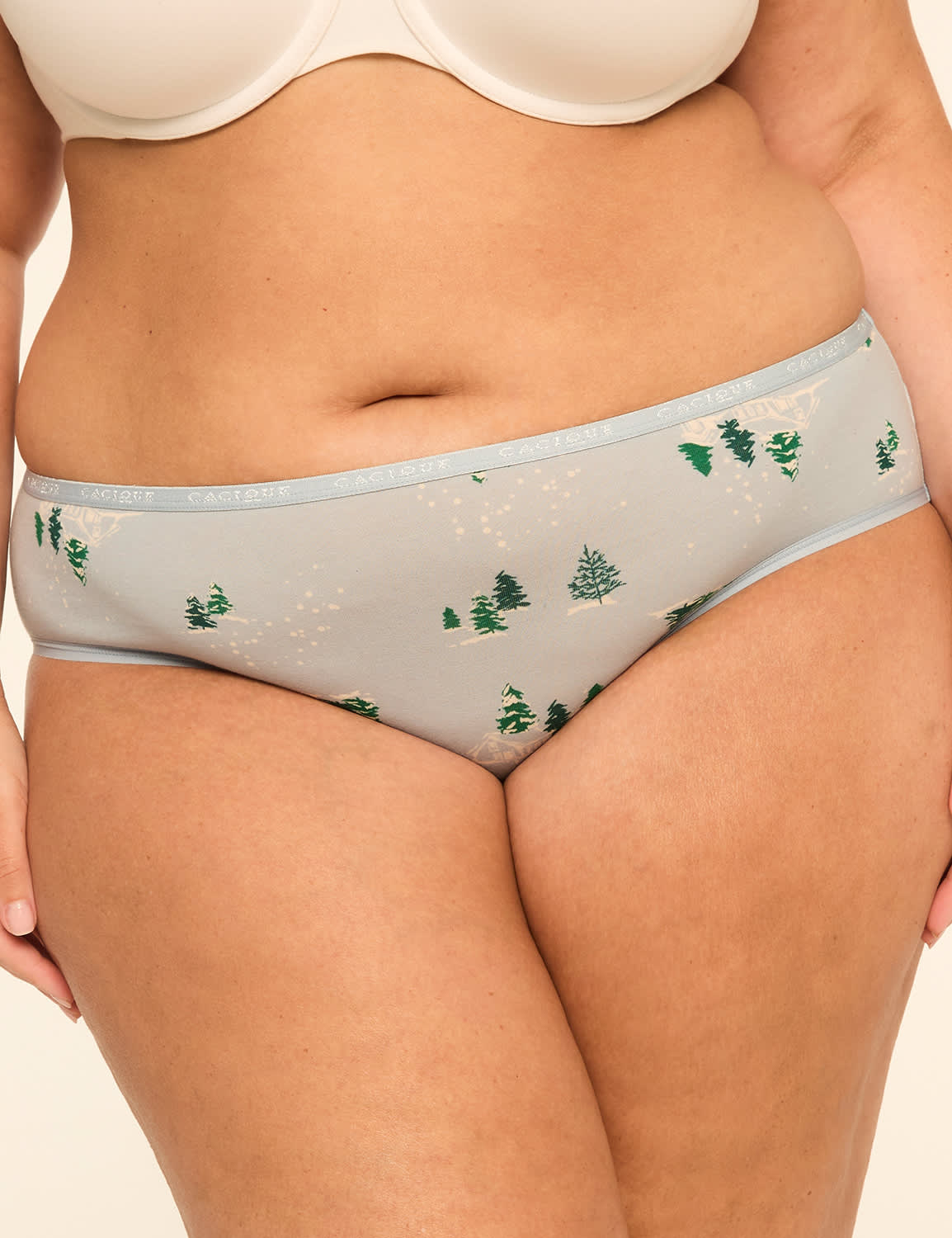 Cotton Hipster Panty