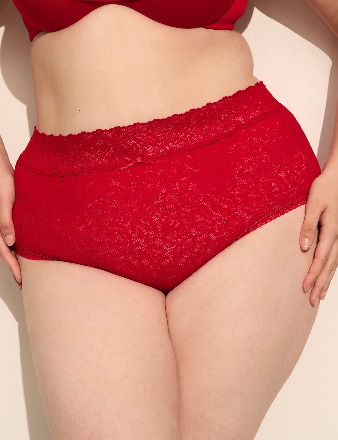 Stretch Lace High-Leg Brief Panty
