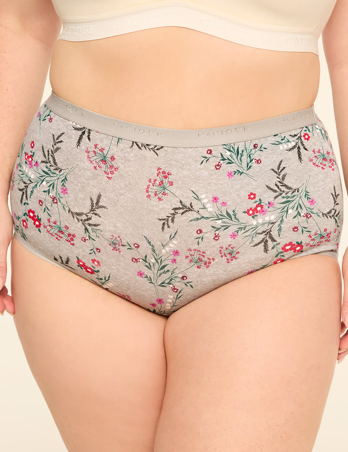 Cotton High-Waist Brief Panty