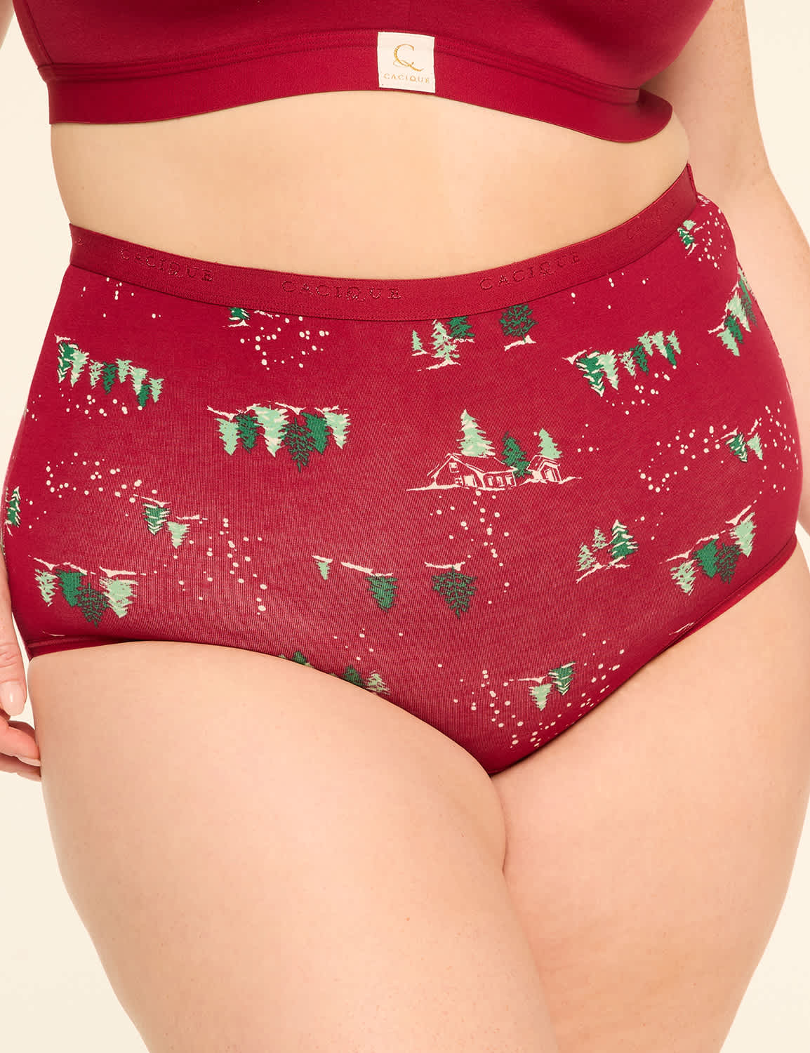 Cotton High-Waist Brief Panty