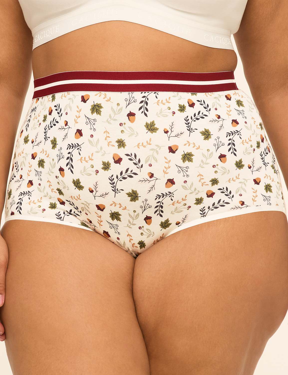 Cotton High-Waist Brief Panty With Wide Waistband