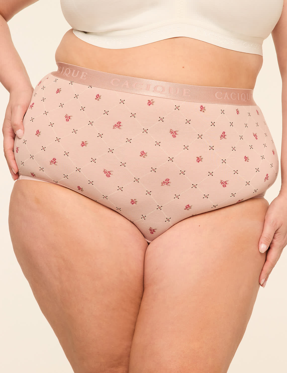 Cotton High-Waist Brief Panty With Wide Waistband