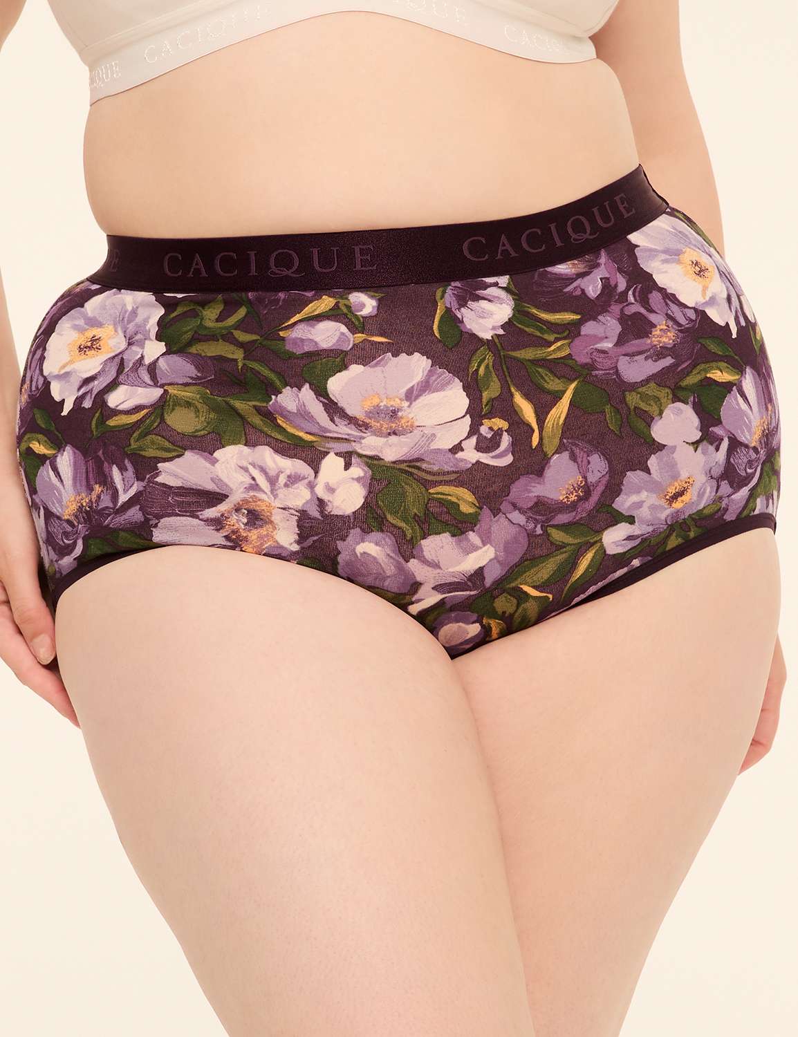 Cotton High-Waist Brief Panty With Wide Waistband