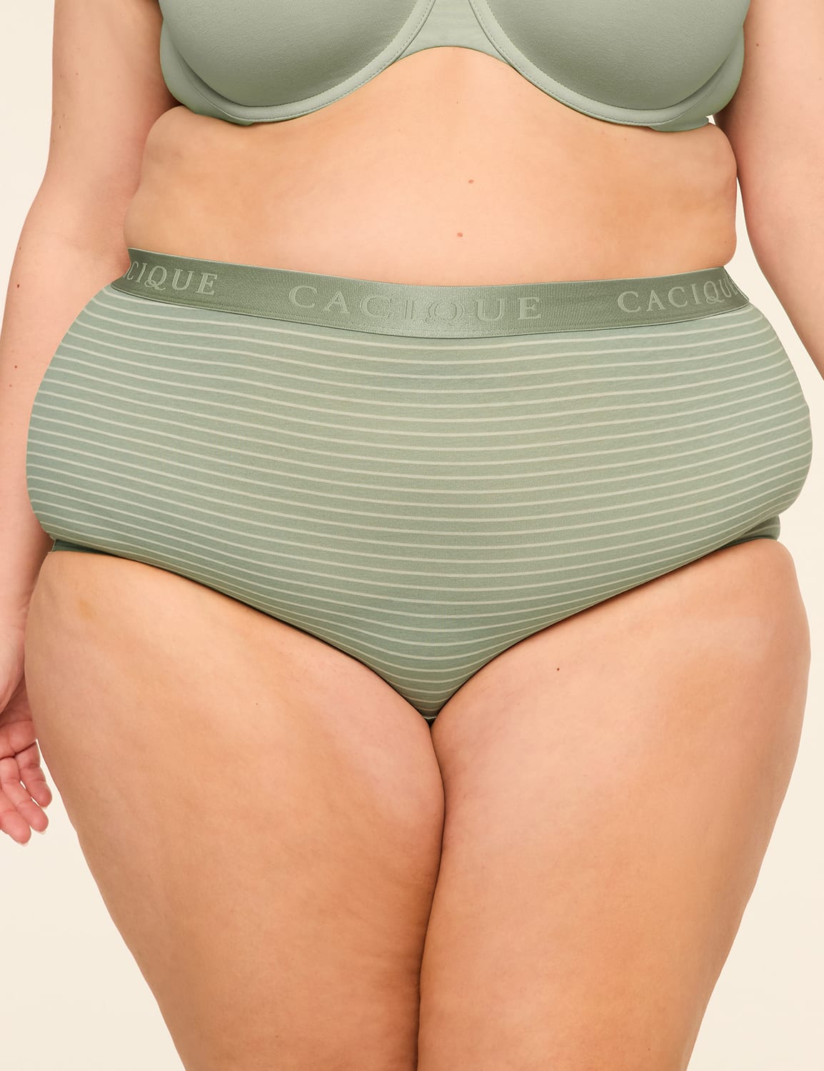 Cotton High-Waist Brief Panty With Wide Waistband