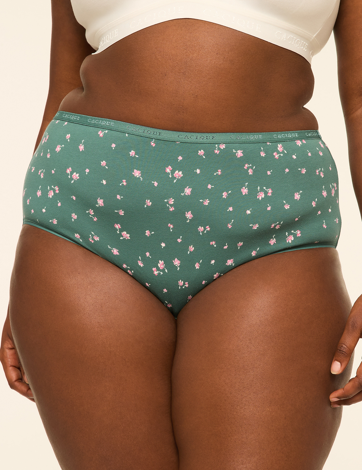 Cotton High-Leg Brief Panty