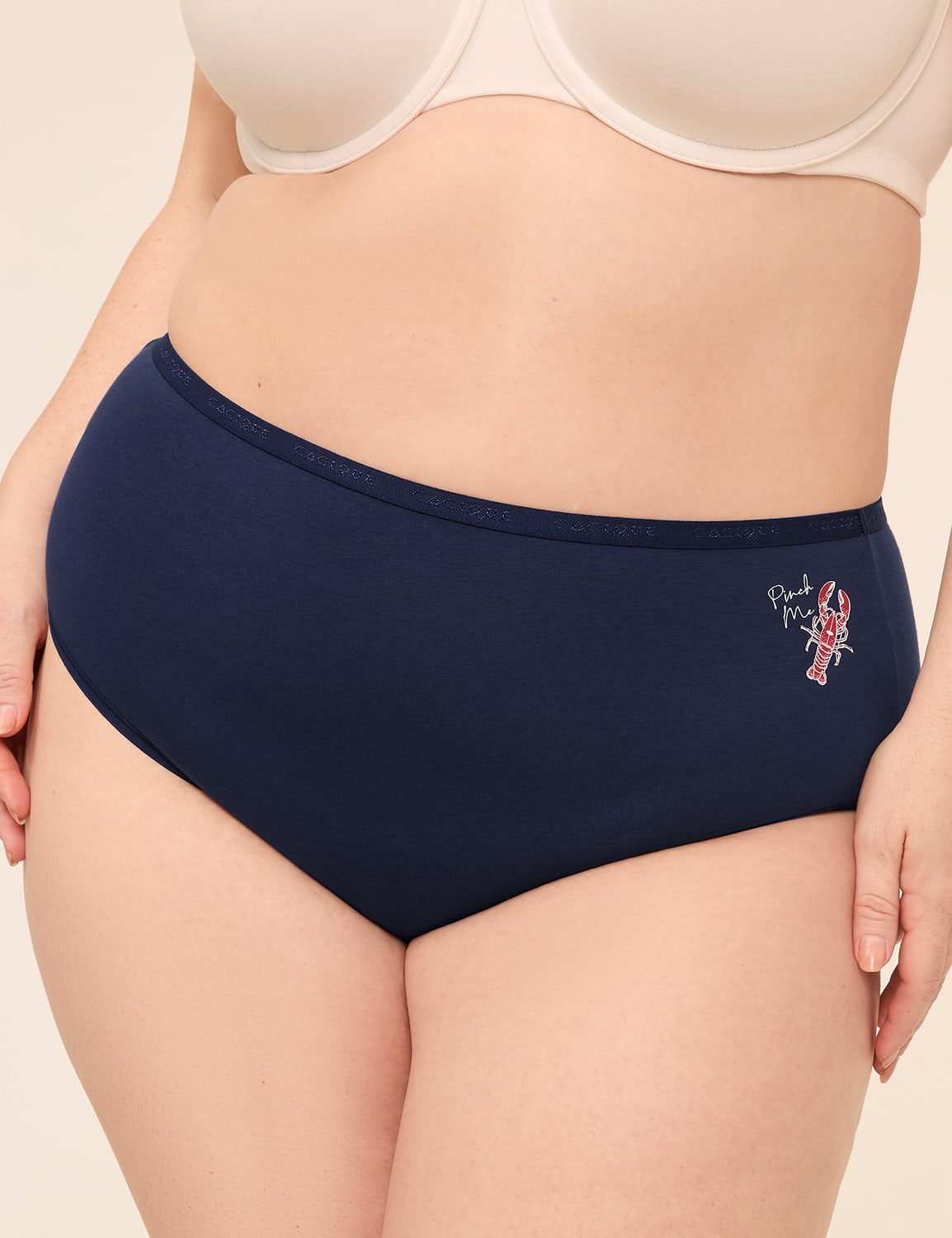 Cotton High-Leg Brief Panty