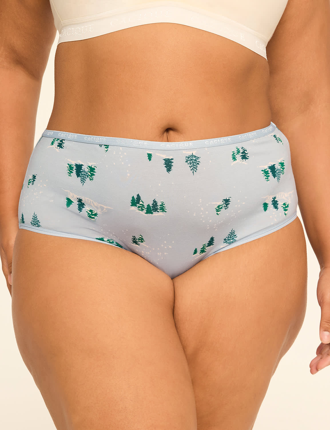 Cotton High-Leg Brief Panty