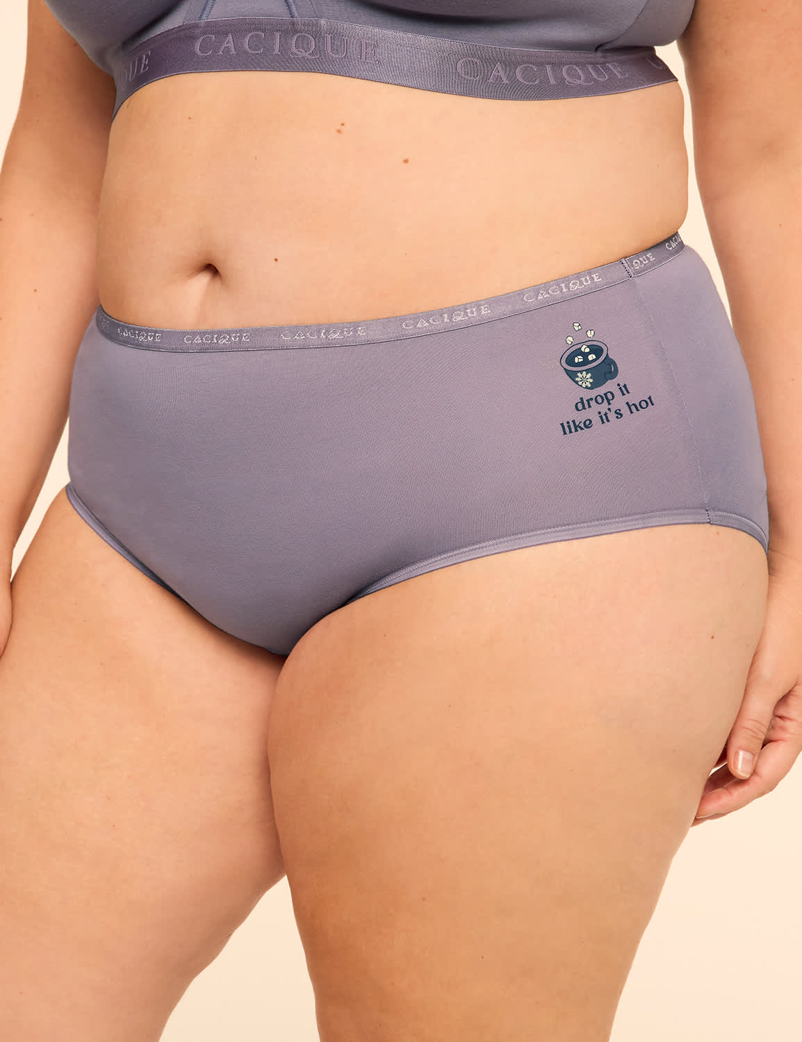 Cotton High-Leg Brief Panty