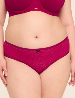 Tailored Stretch Lace Hipster Panty