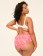 Cotton Cheeky Brief Panty With Wide Waistband - thumbnail 7