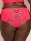 Lace-Back Cheeky Brief Panty - thumbnail 5