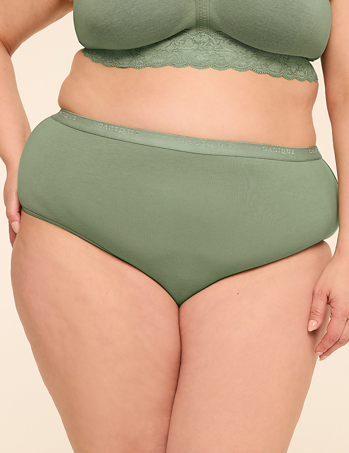 Cotton Cheeky Brief Panty