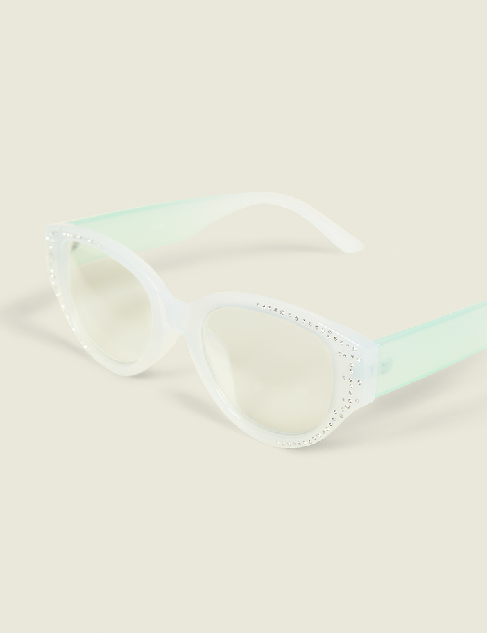 Grey & Turquoise Translucent Reader