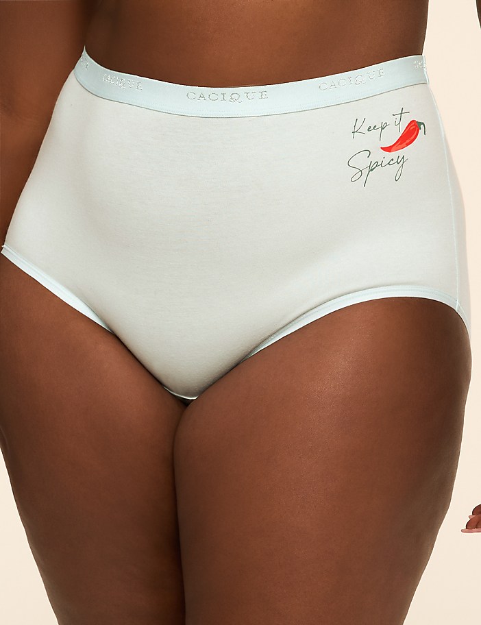 Cotton Full Brief Panty With Wide Waistband