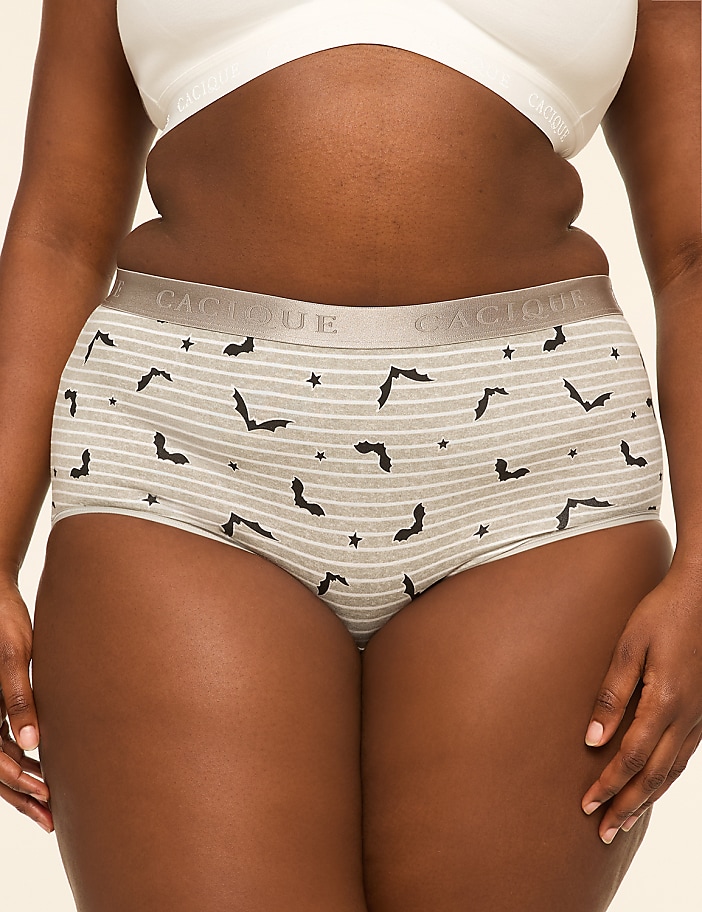 Cotton Full Brief Panty With Wide Waistband