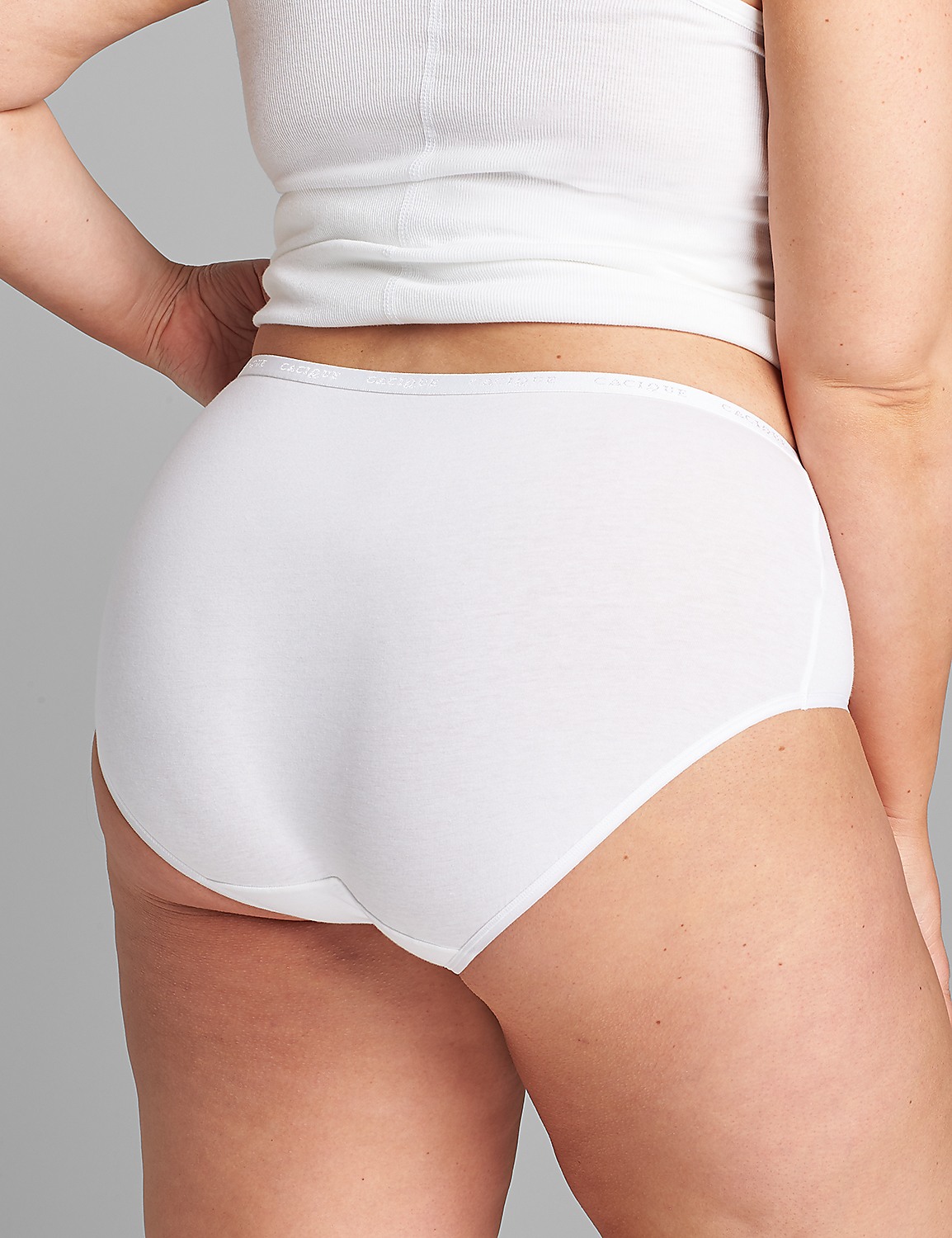 Cotton High-Leg Brief Panty Product Image 2