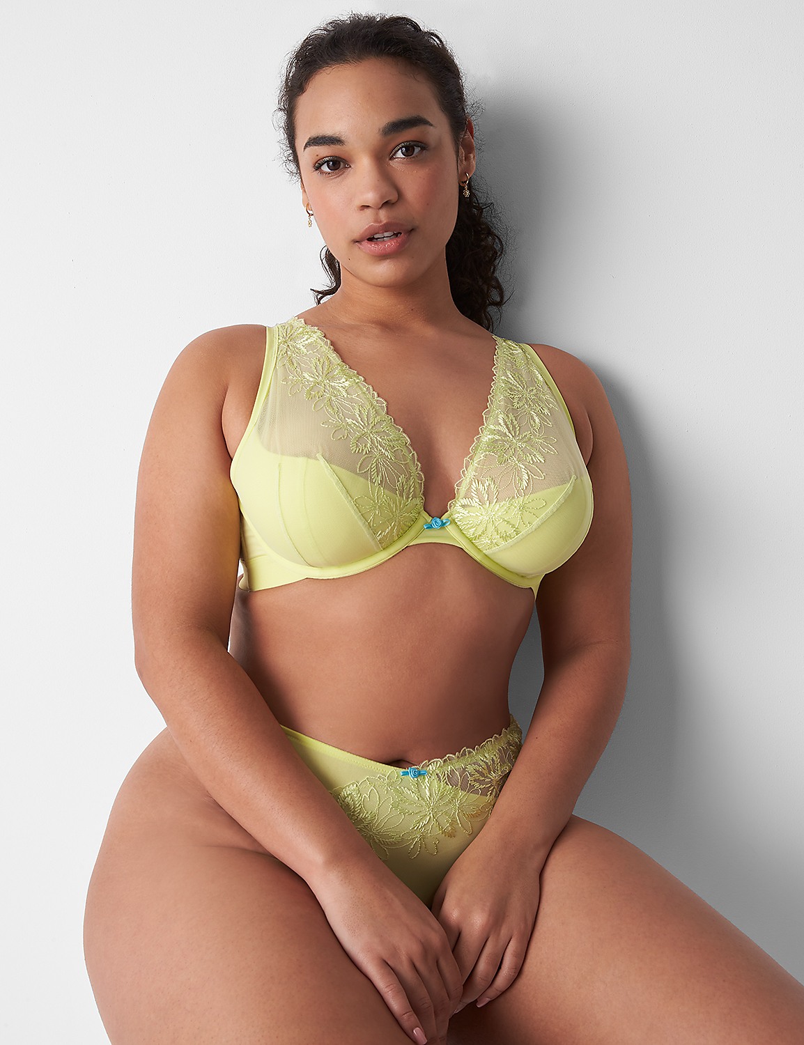 Lightly Lined High-Apex Plunge Bra Product Image 4