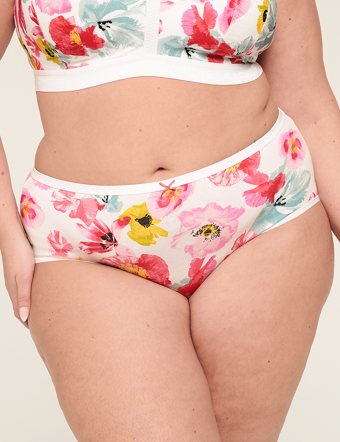 Cotton High-Leg Brief Panty Product Image 1