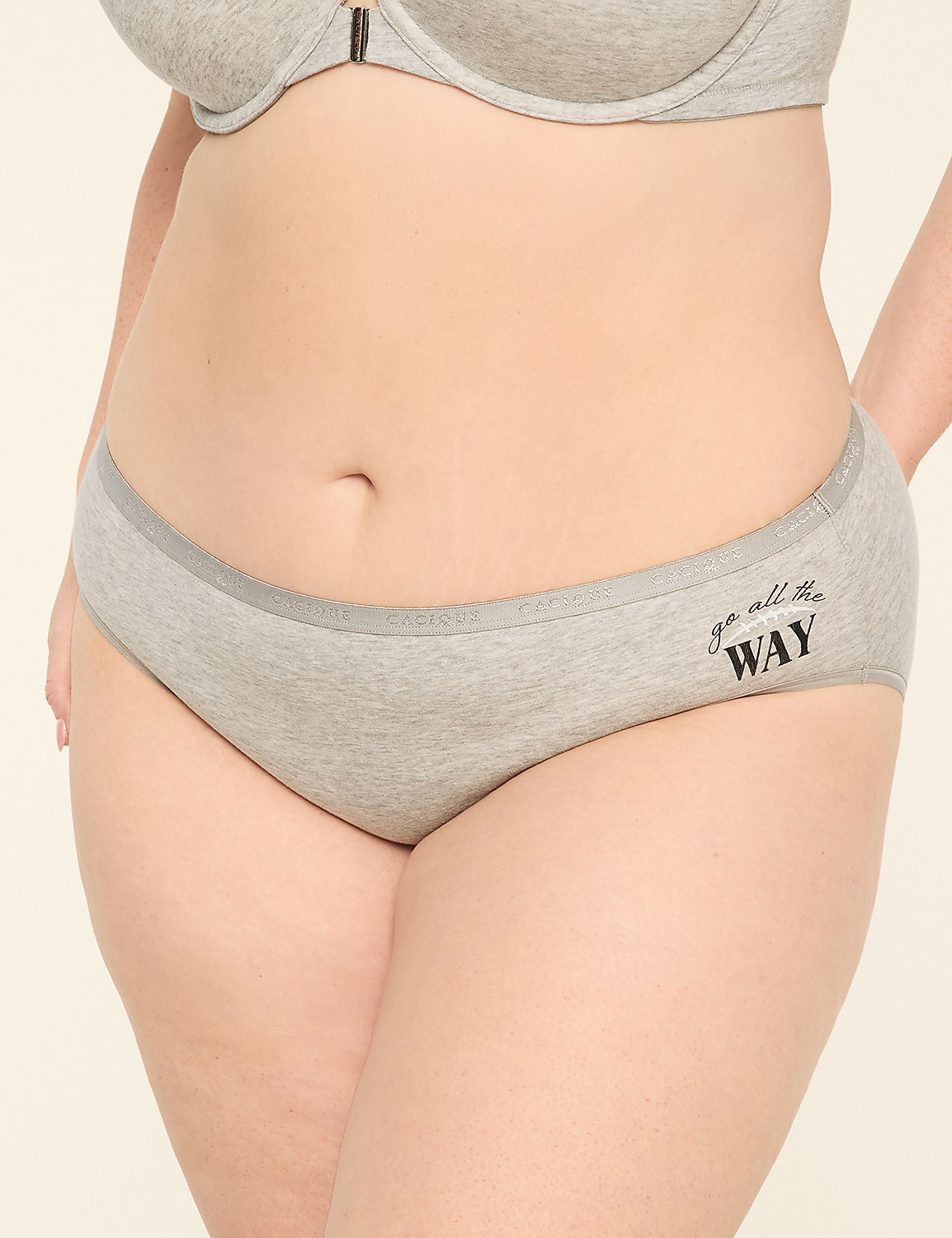 Cotton Hipster Panty Product Image 1
