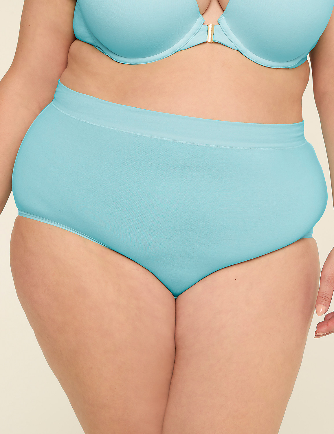 Cotton Bliss Full Brief Panty Product Image 1