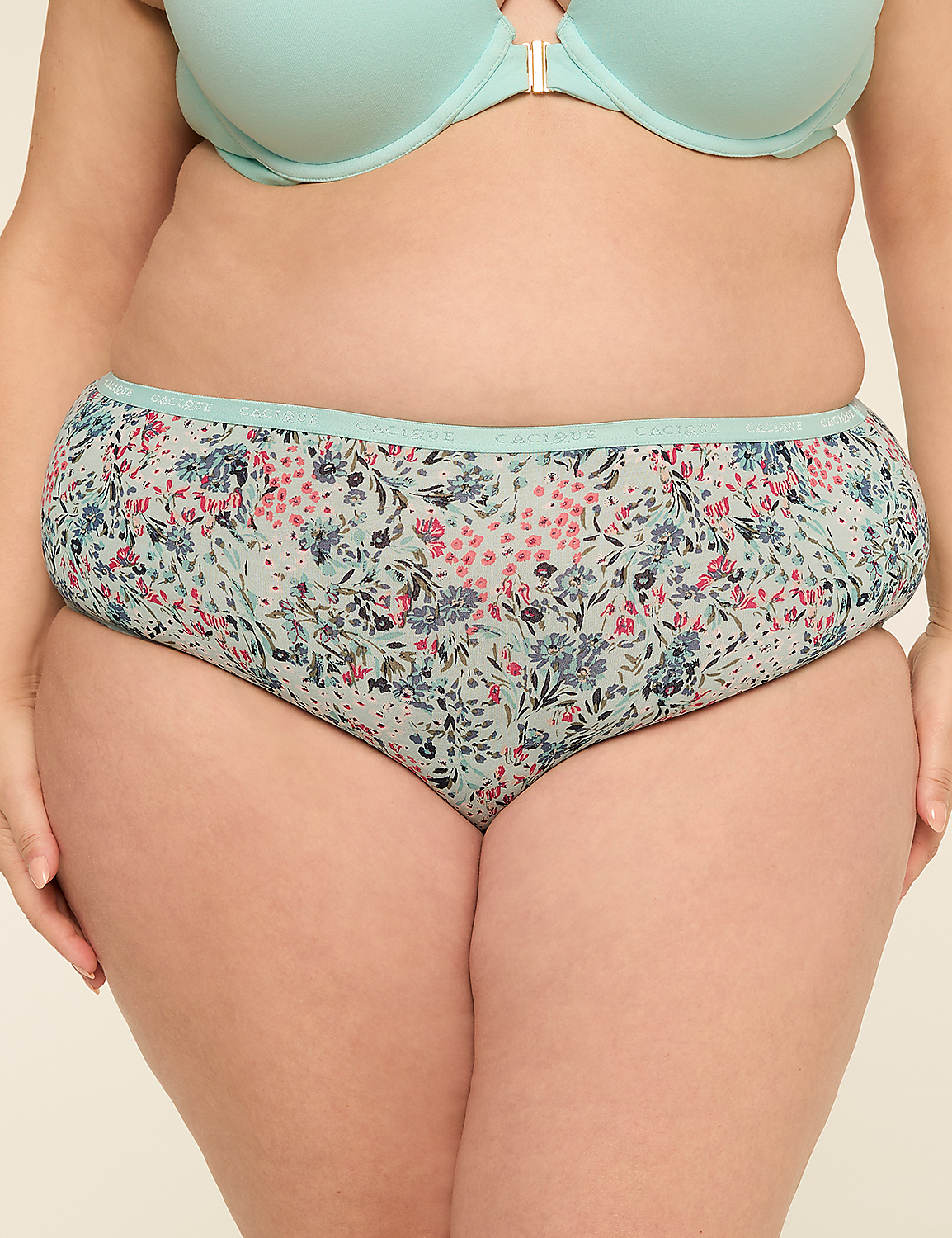 Cotton High-Leg Brief Panty Product Image 1