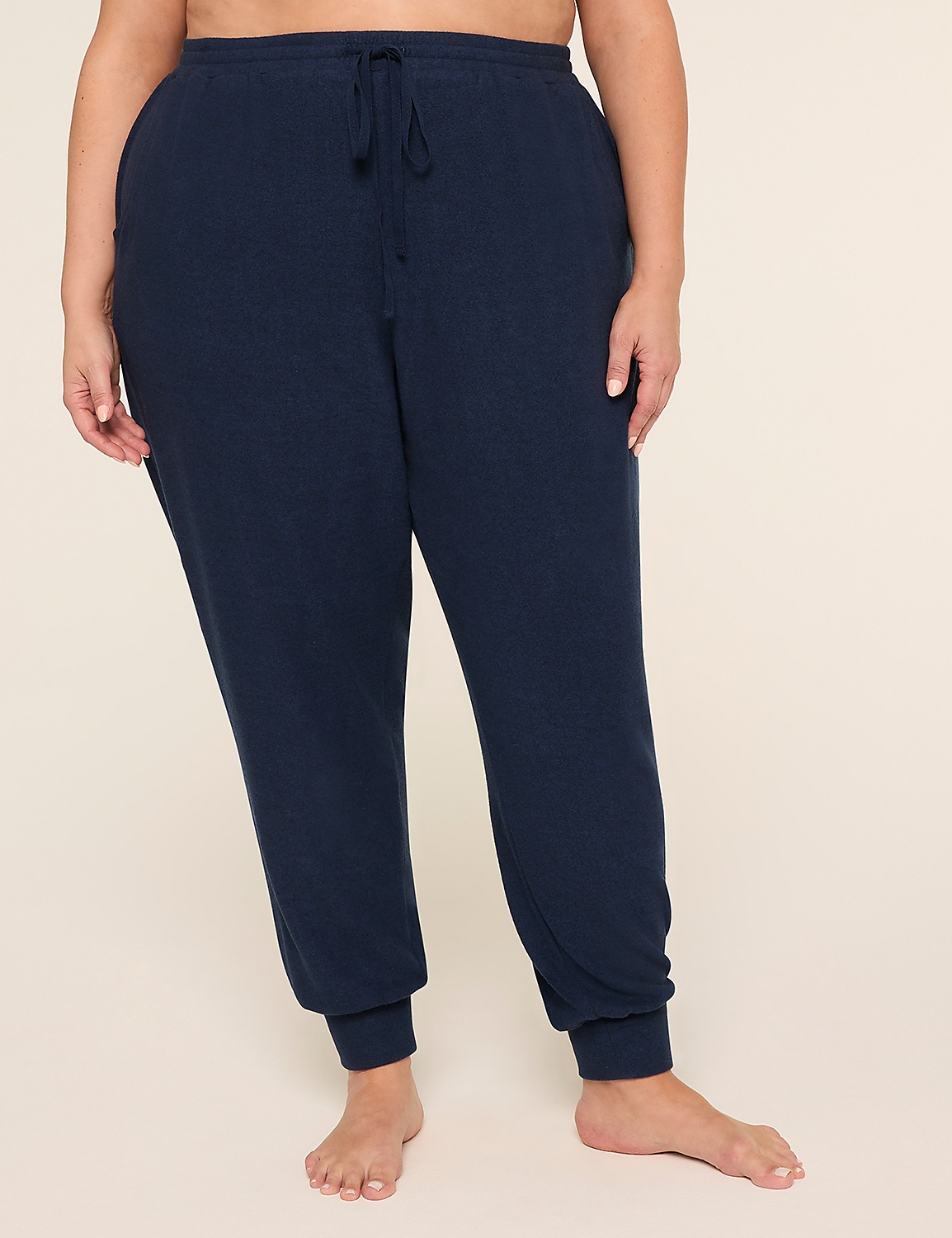 Brushed Hacci Jogger Product Image 1