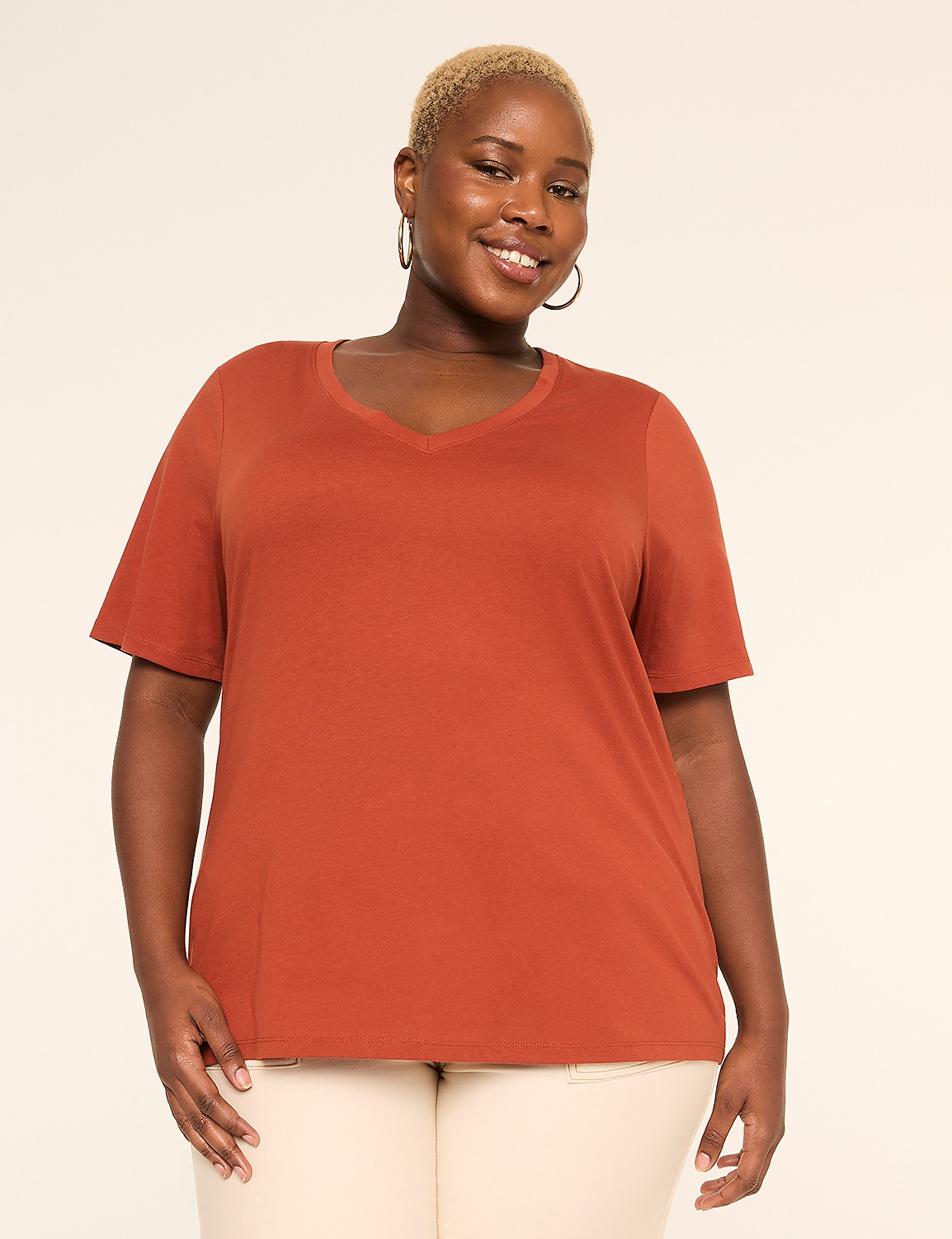 Perfect Sleeve V-Neck Tee Product Image 1