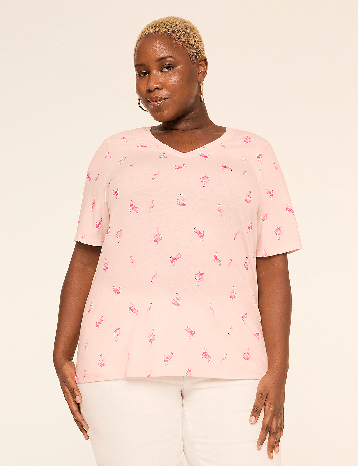 Perfect Sleeve V-Neck Tee Product Image 1