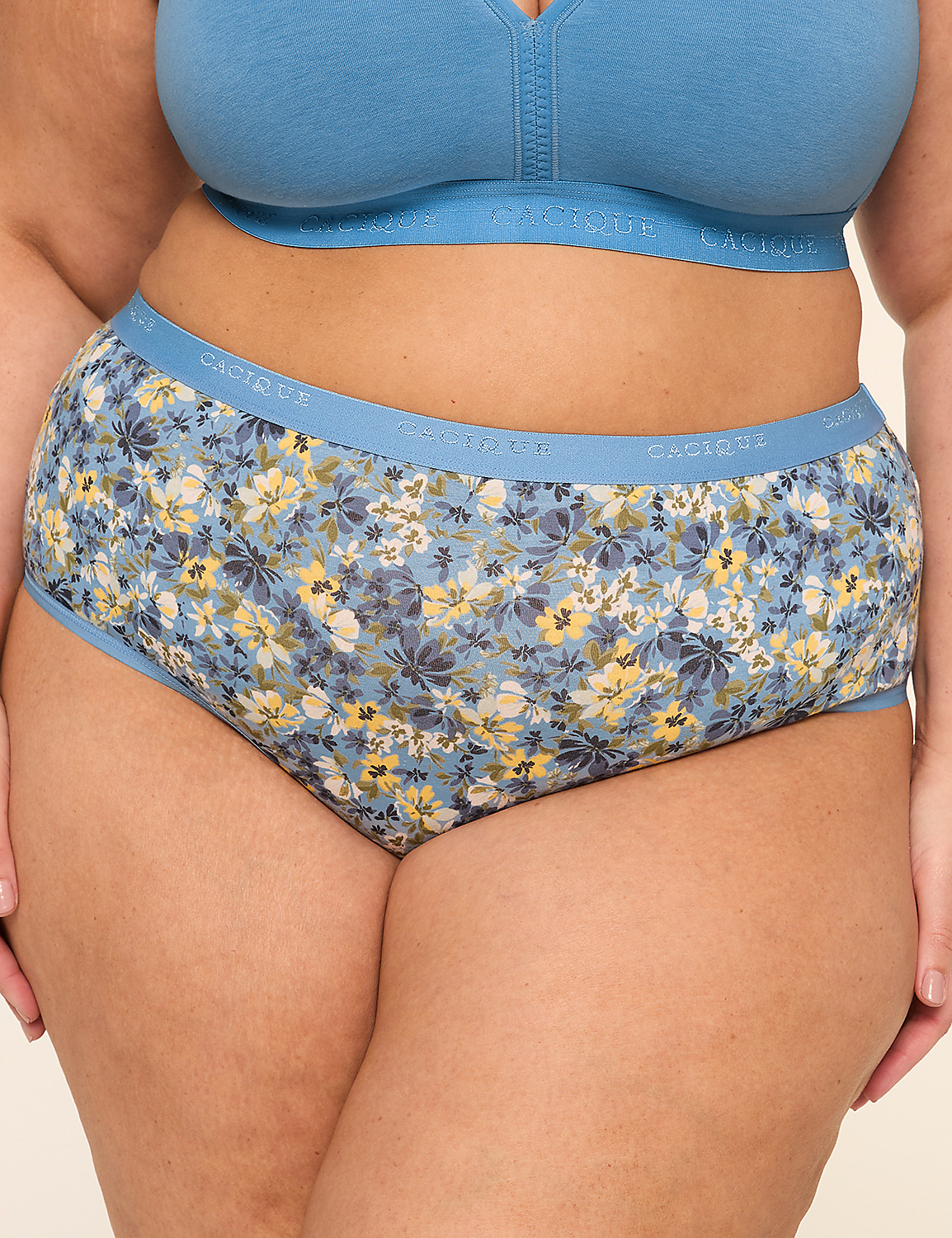Cotton Cheeky Brief Panty Product Image 1