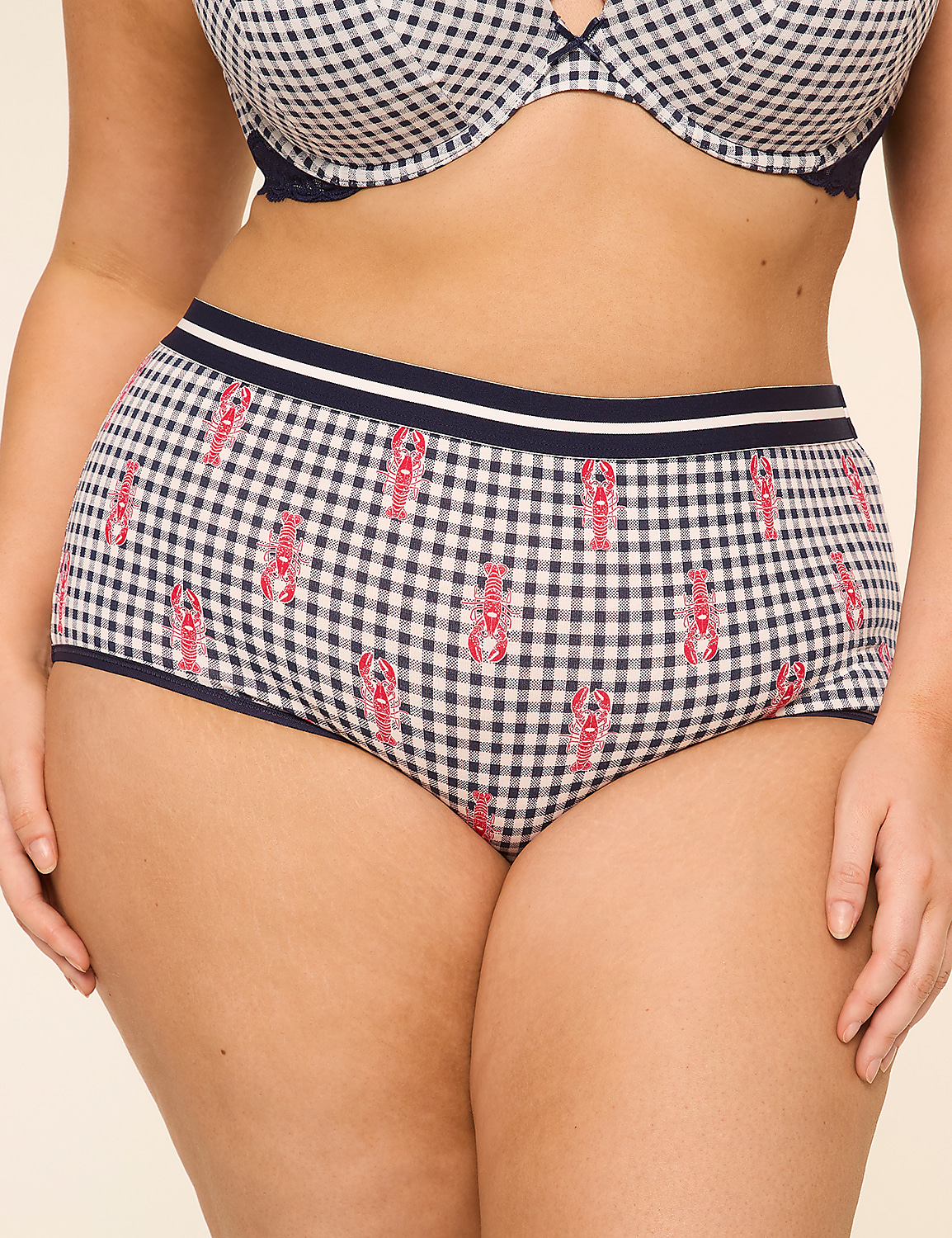 Cotton Full Brief Panty With Wide Waistband Product Image 1