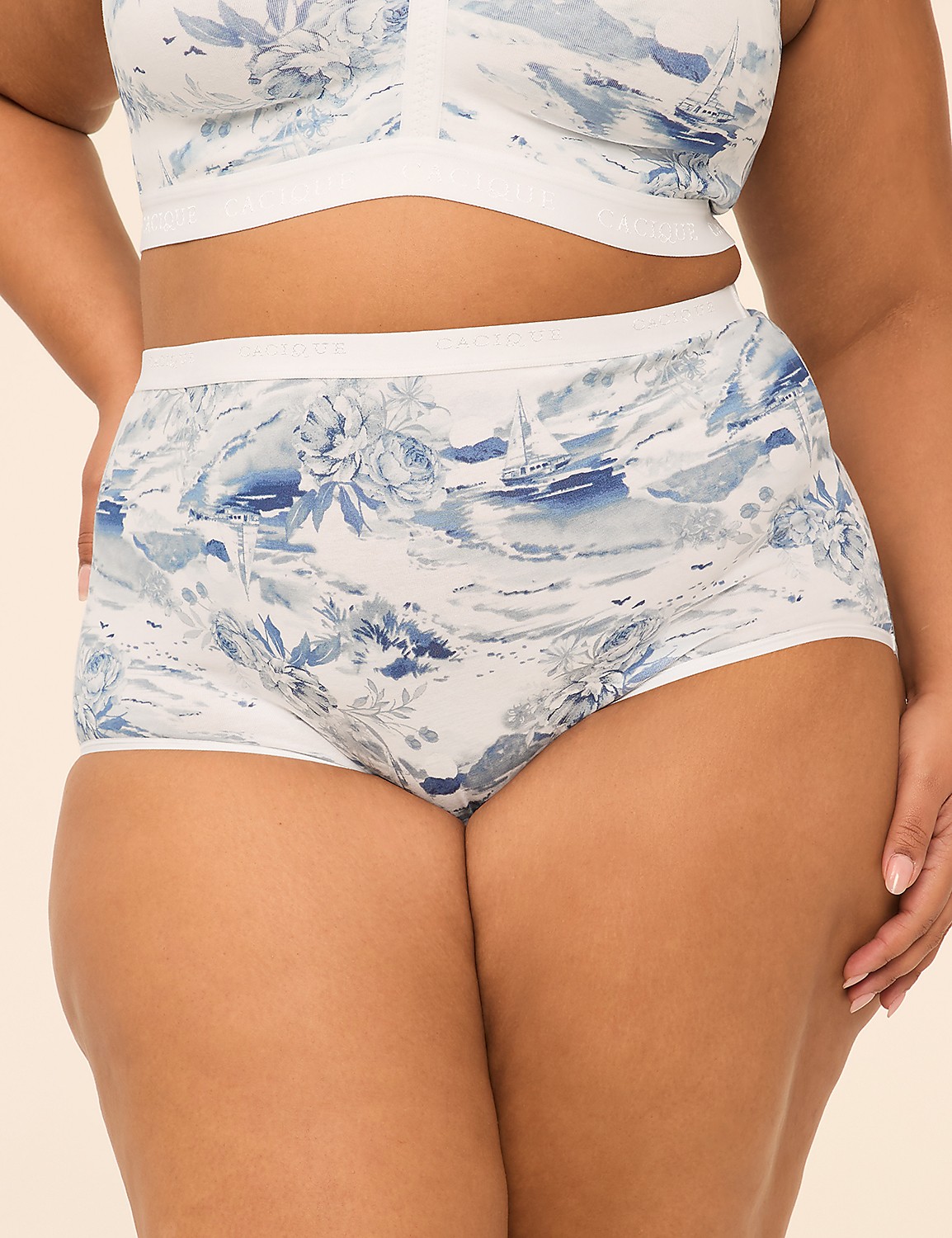 Cotton High-Waist Brief Panty Product Image 1