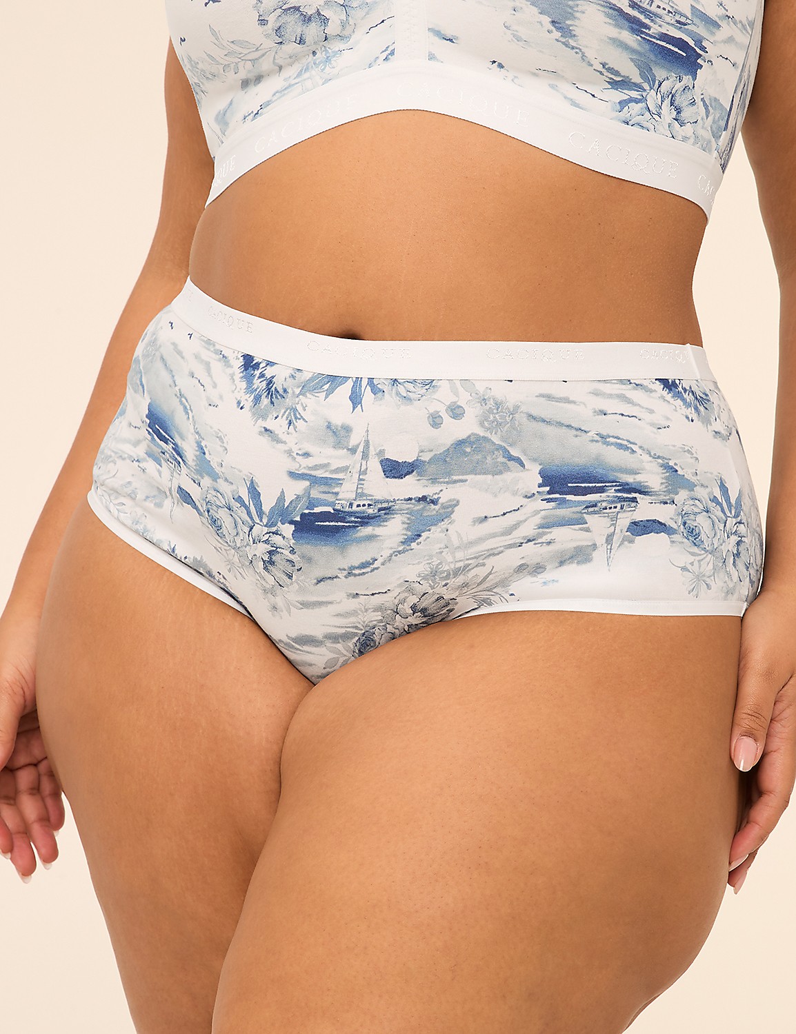 Cotton Cheeky Brief Panty Product Image 1