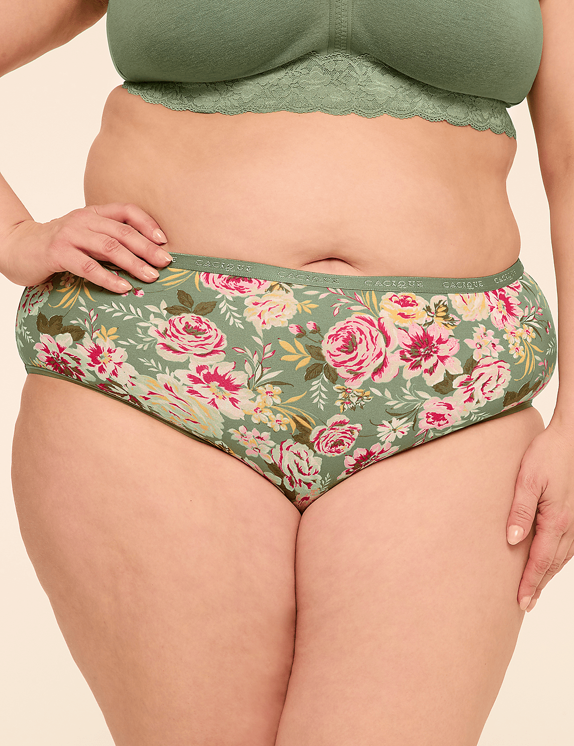 Cotton High-Leg Brief Panty Product Image 1
