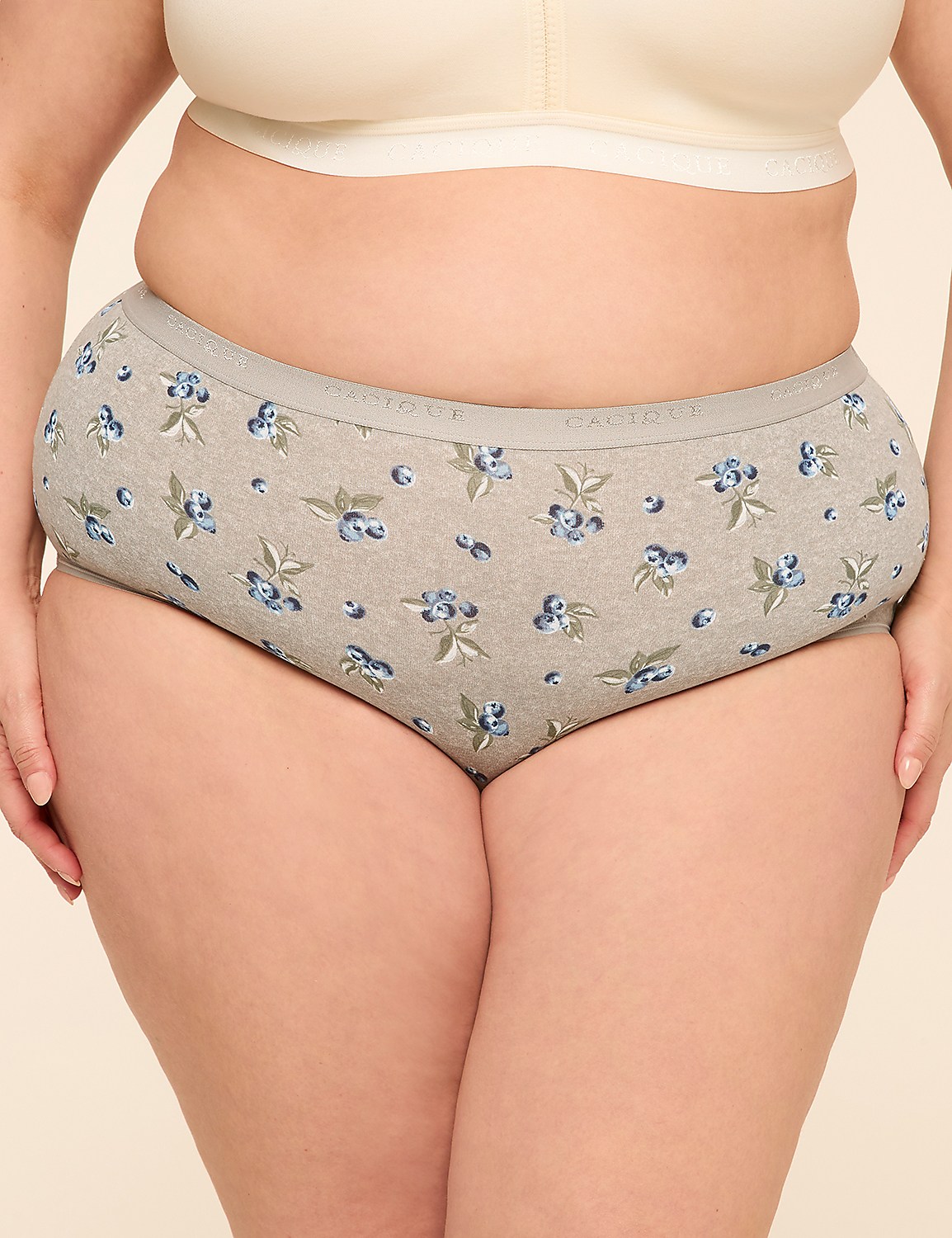 Cotton Full Brief Panty Product Image 1