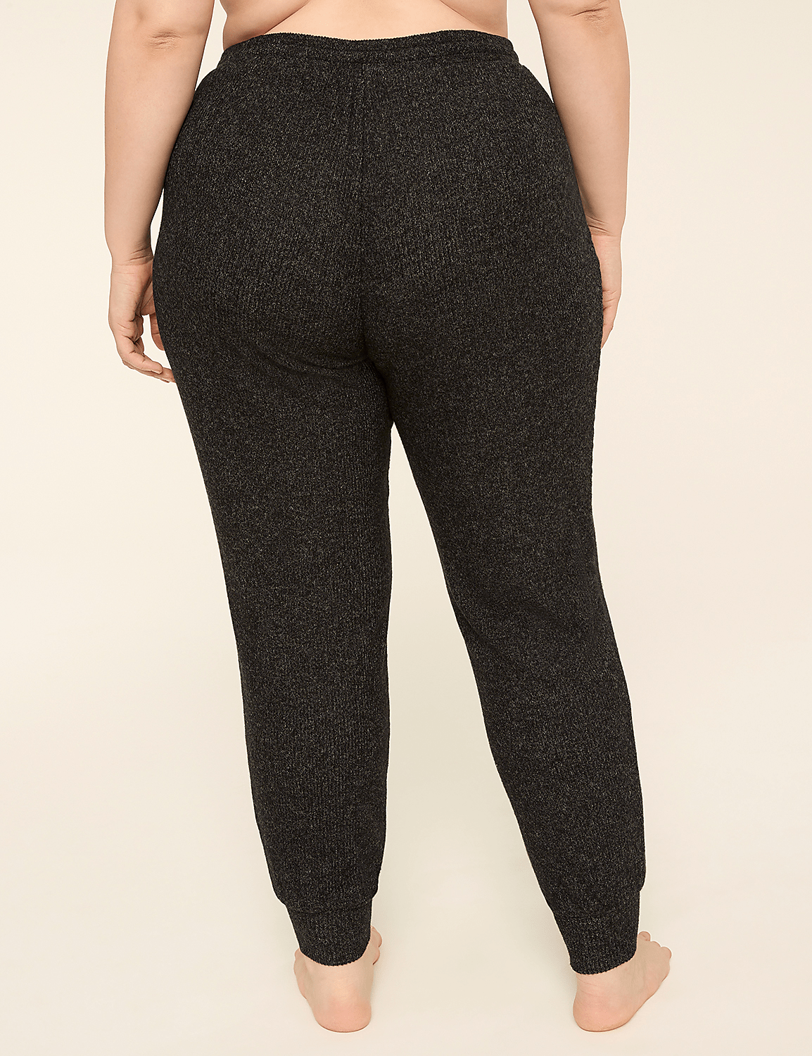 Brushed Hacci Rib Jogger Product Image 2