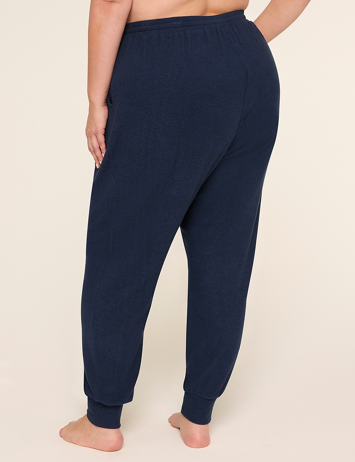 Brushed Hacci Jogger Product Image 2