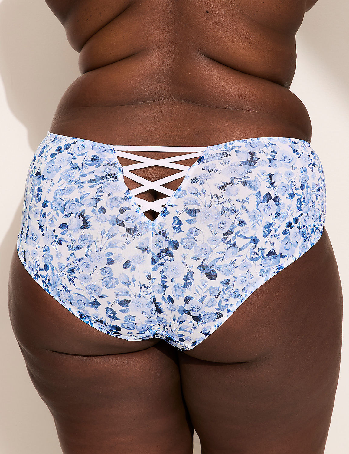 Cheeky Brief Panty Product Image 2