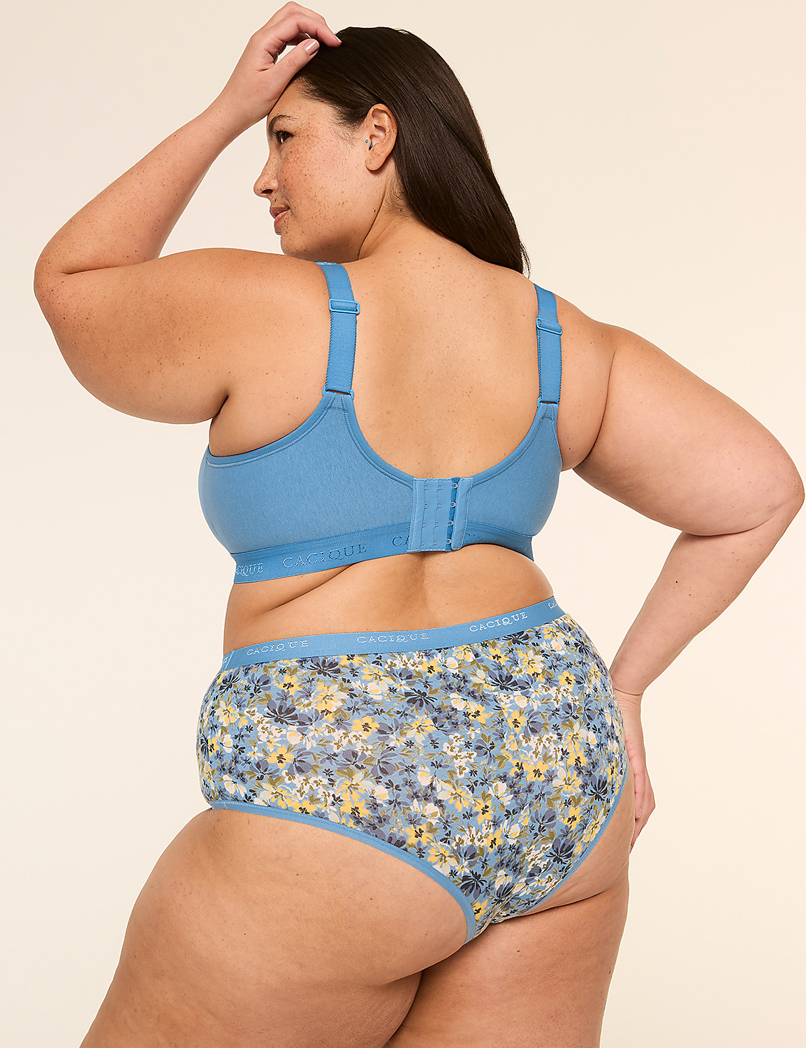 Cotton Cheeky Brief Panty Product Image 2