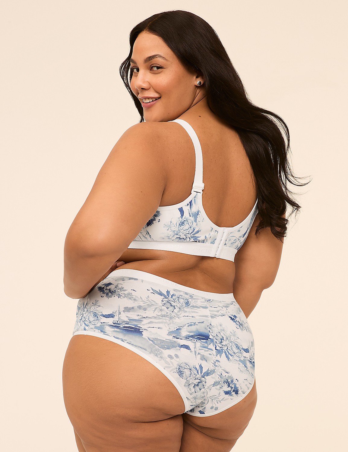 Cotton Cheeky Brief Panty Product Image 2