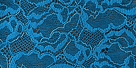 Mesh & Lace Slip Product Image 4