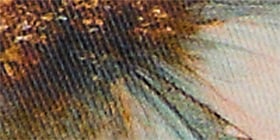 Boost Balconette Bra Product Image 9