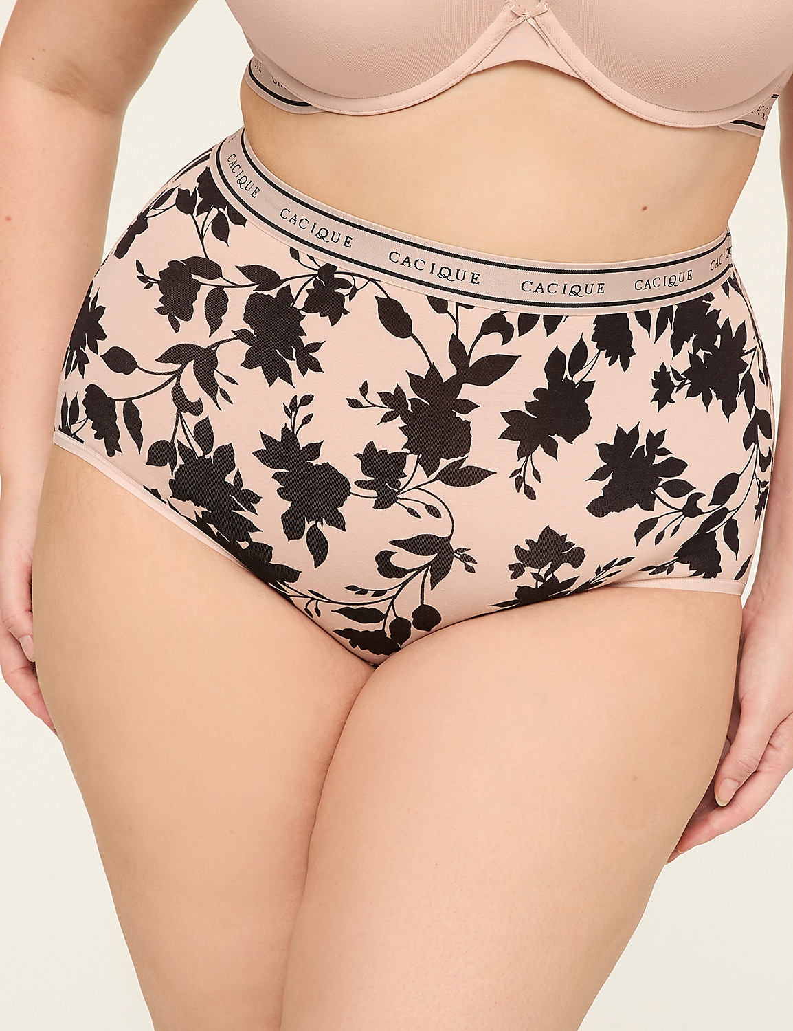 Cotton High-Waist Brief Panty With Wide Waistband Product Image 1
