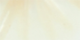 White Floral & Hoop Earrings 3-Pack Product Image 2