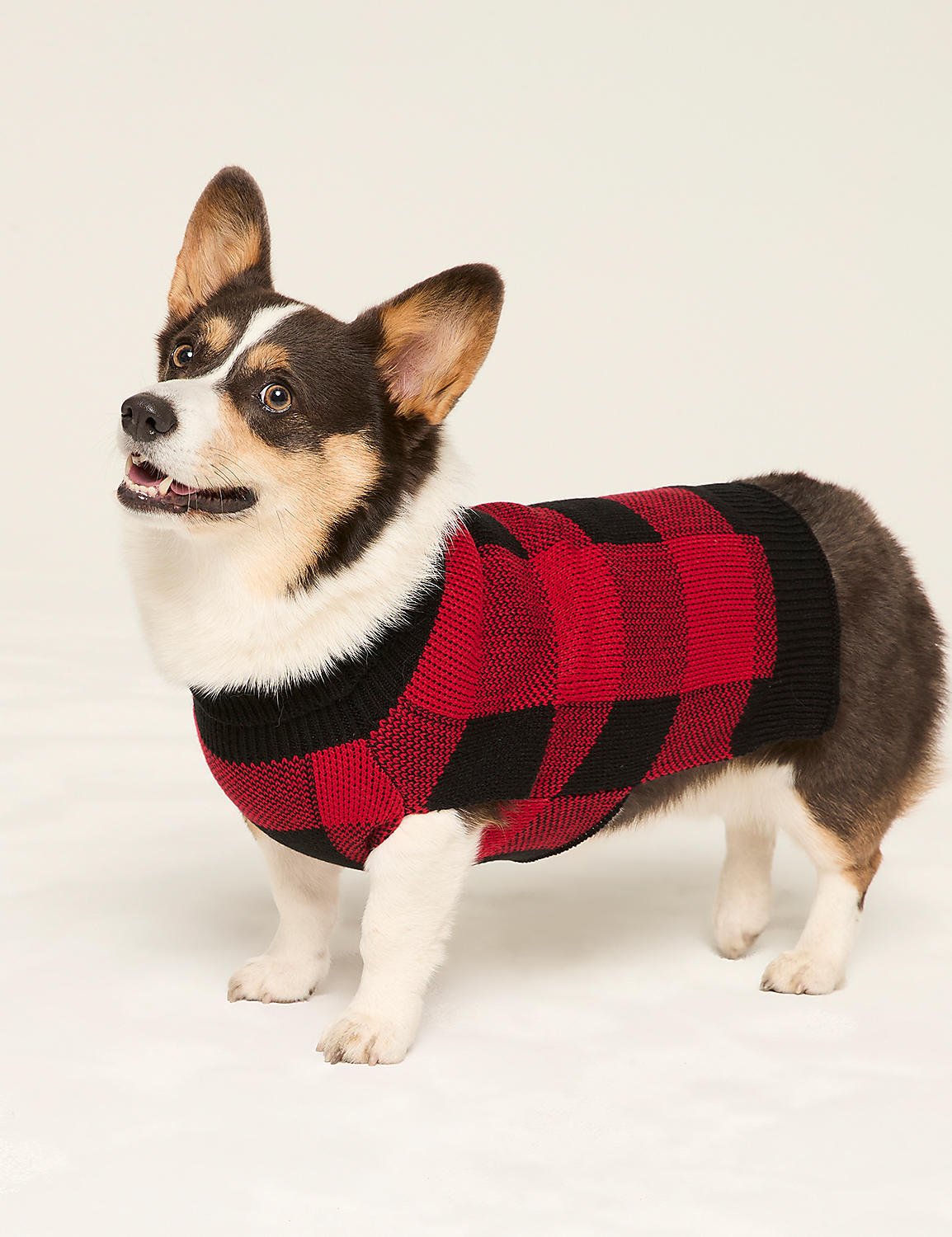 Dog Sweater Product Image 1
