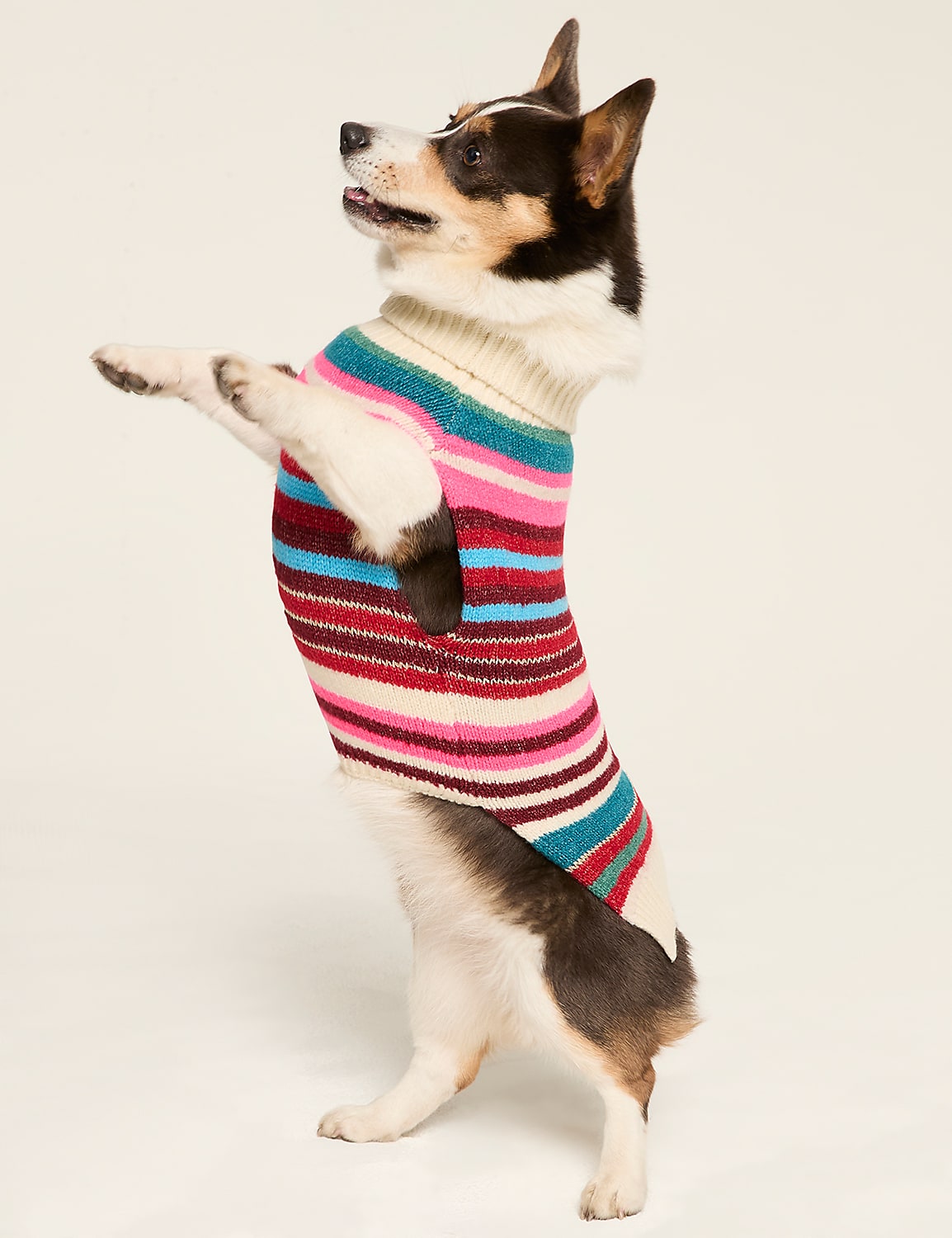 Dog Sweater Product Image 1