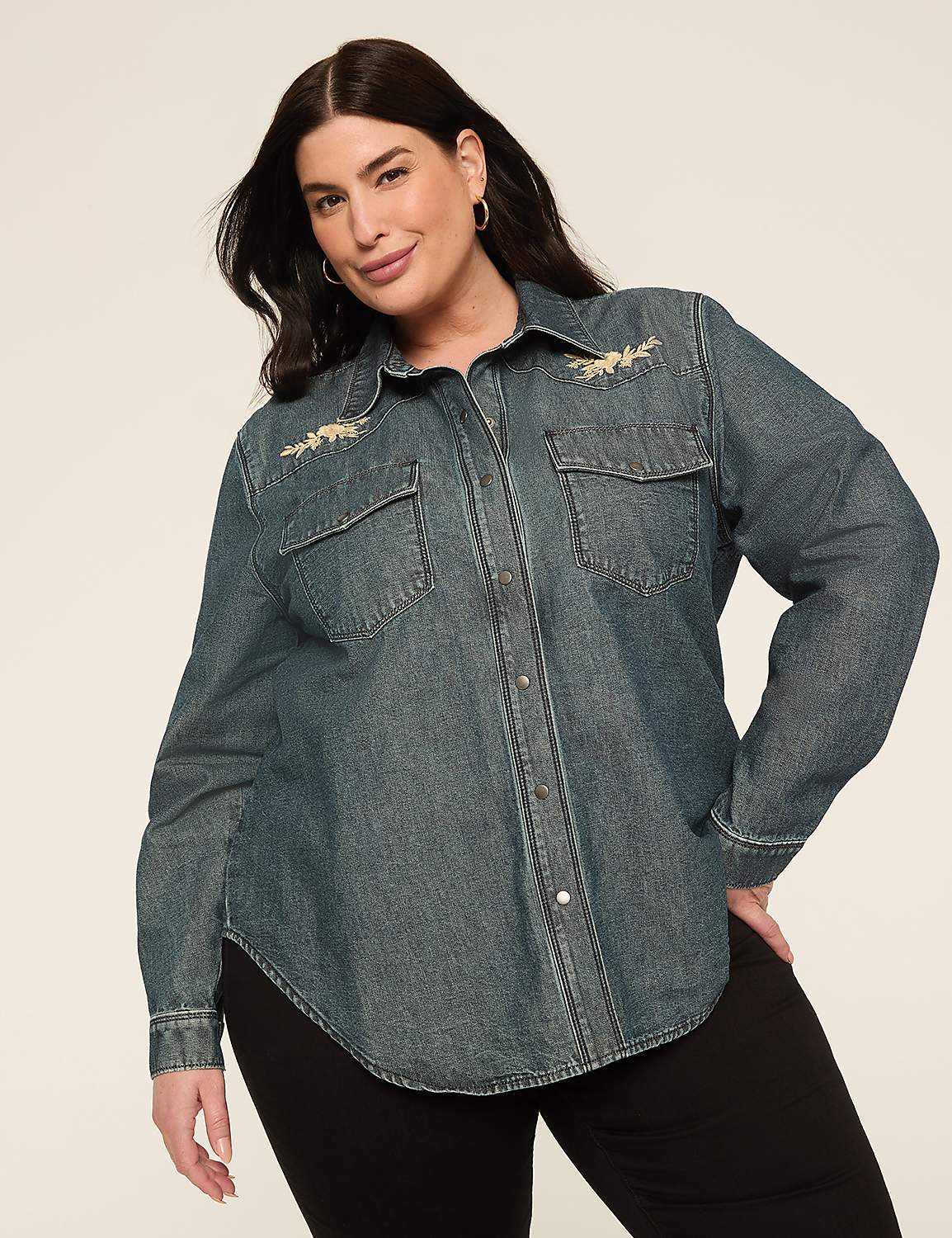 Denim Applique Button-Down Blouse Product Image 1