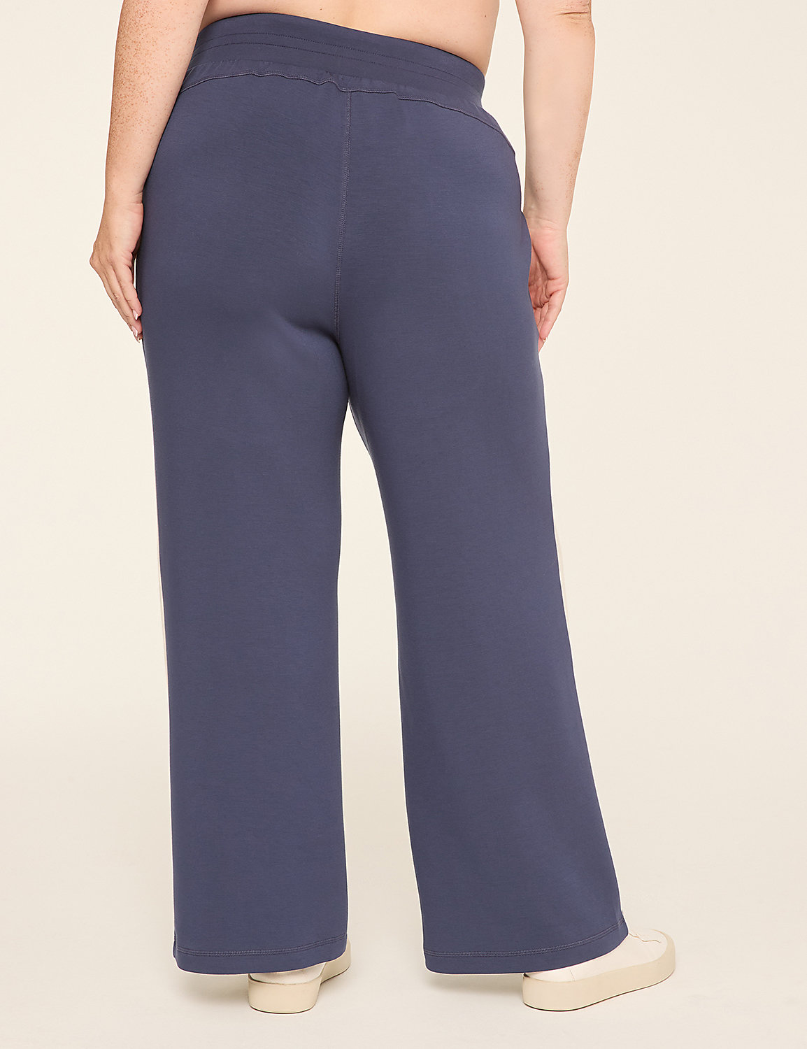 LIVI Journey Colorblock Relaxed Straight Pant Product Image 2